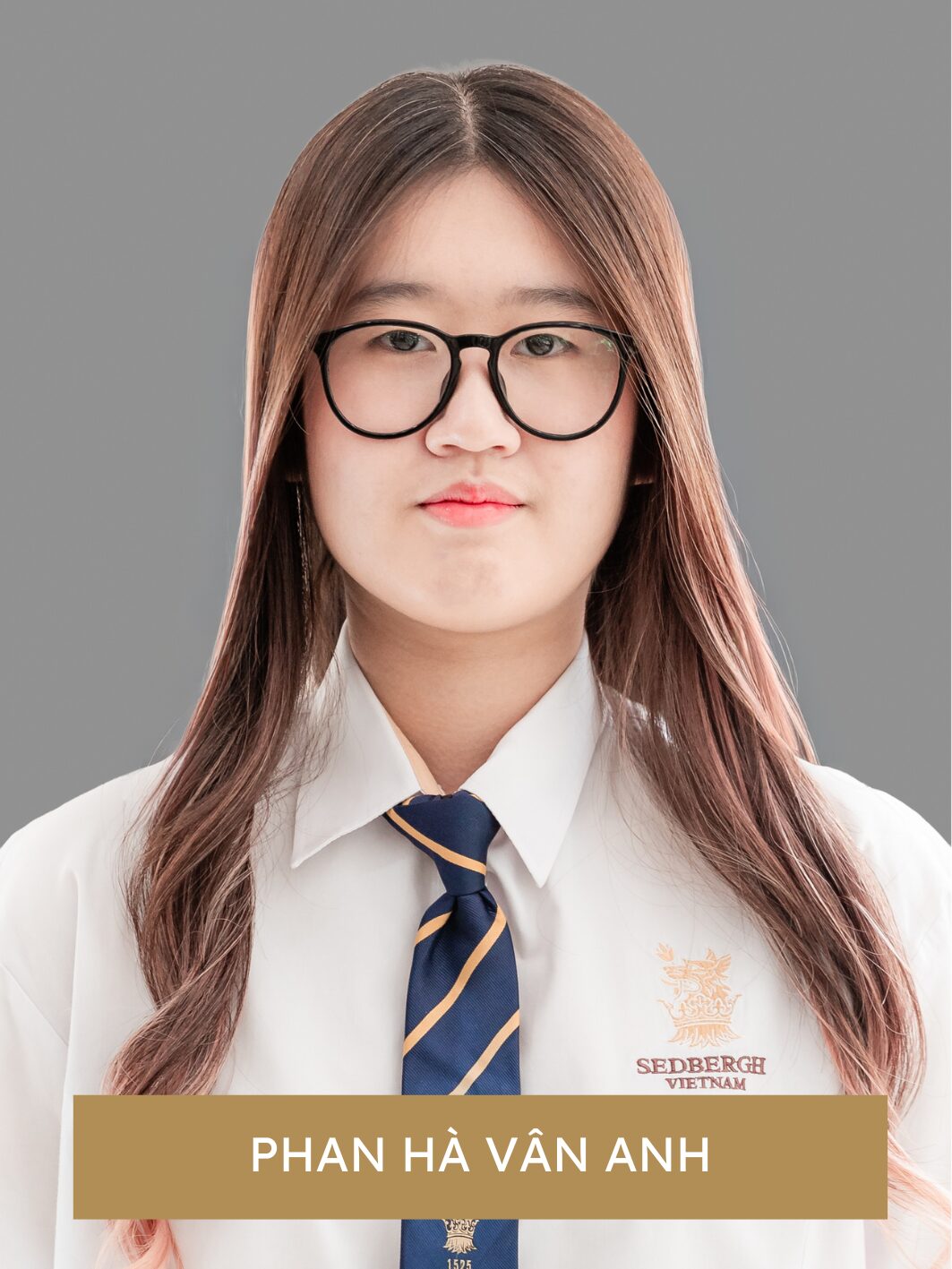 PHAN HA VAN ANH